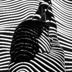 3D Animation